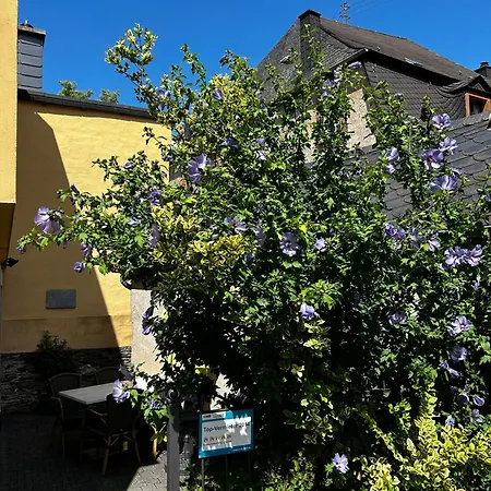 Ausonius Apartment Neumagen-Dhron