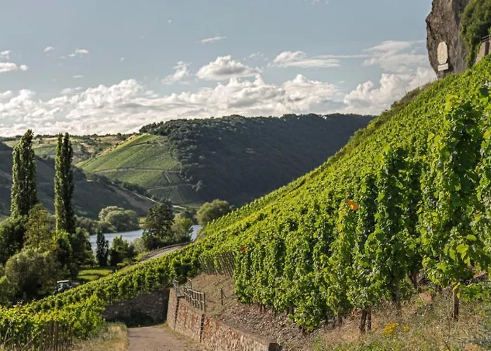 Ausonius Apartment *