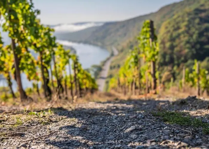 Ausonius Apartmán *